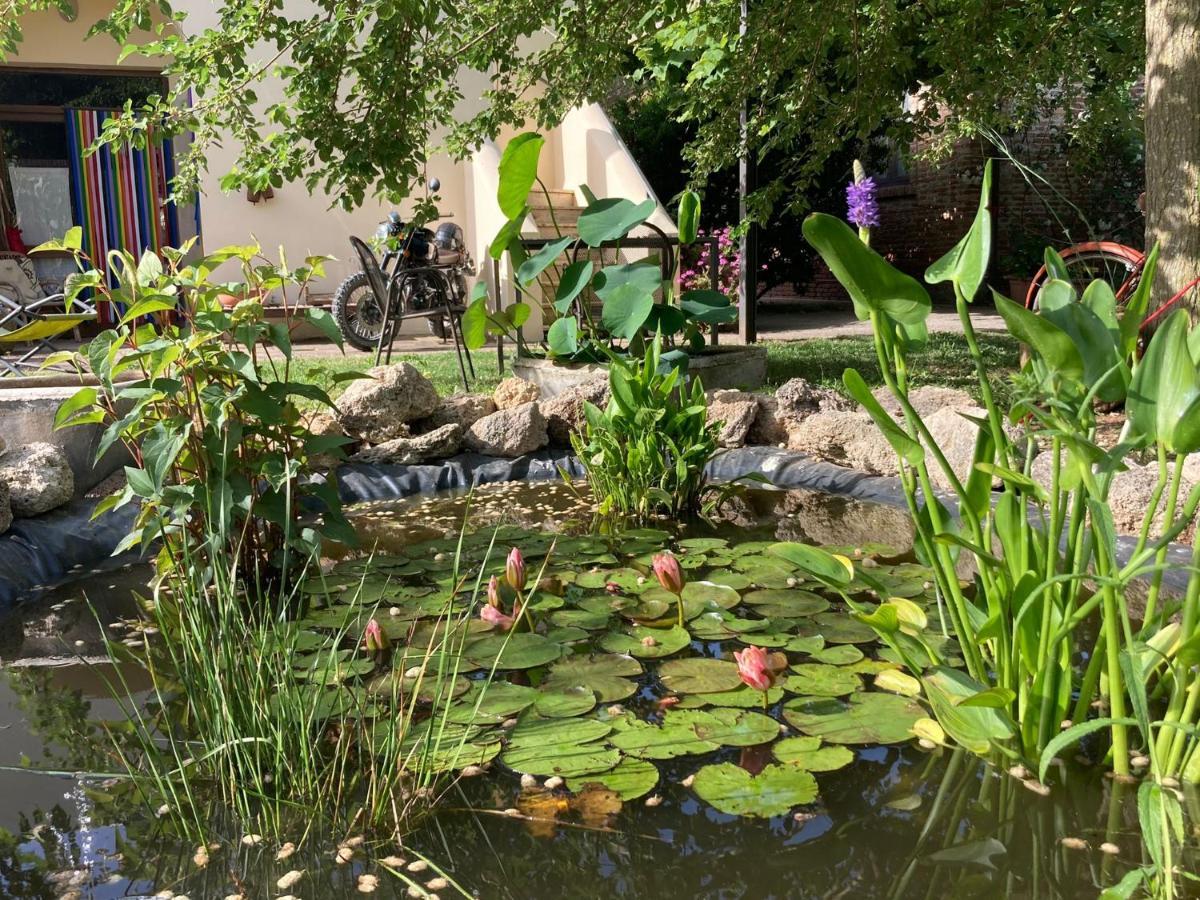 Casa Del Geco Bed and Breakfast Paestum Buitenkant foto